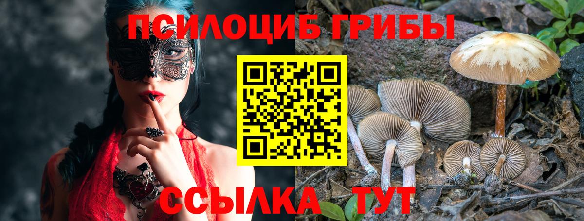 Галлюциногенные грибы мухоморы  купить закладку  Краснознаменск  Вход с VPN  Псилоцибиновые грибы мицелий 